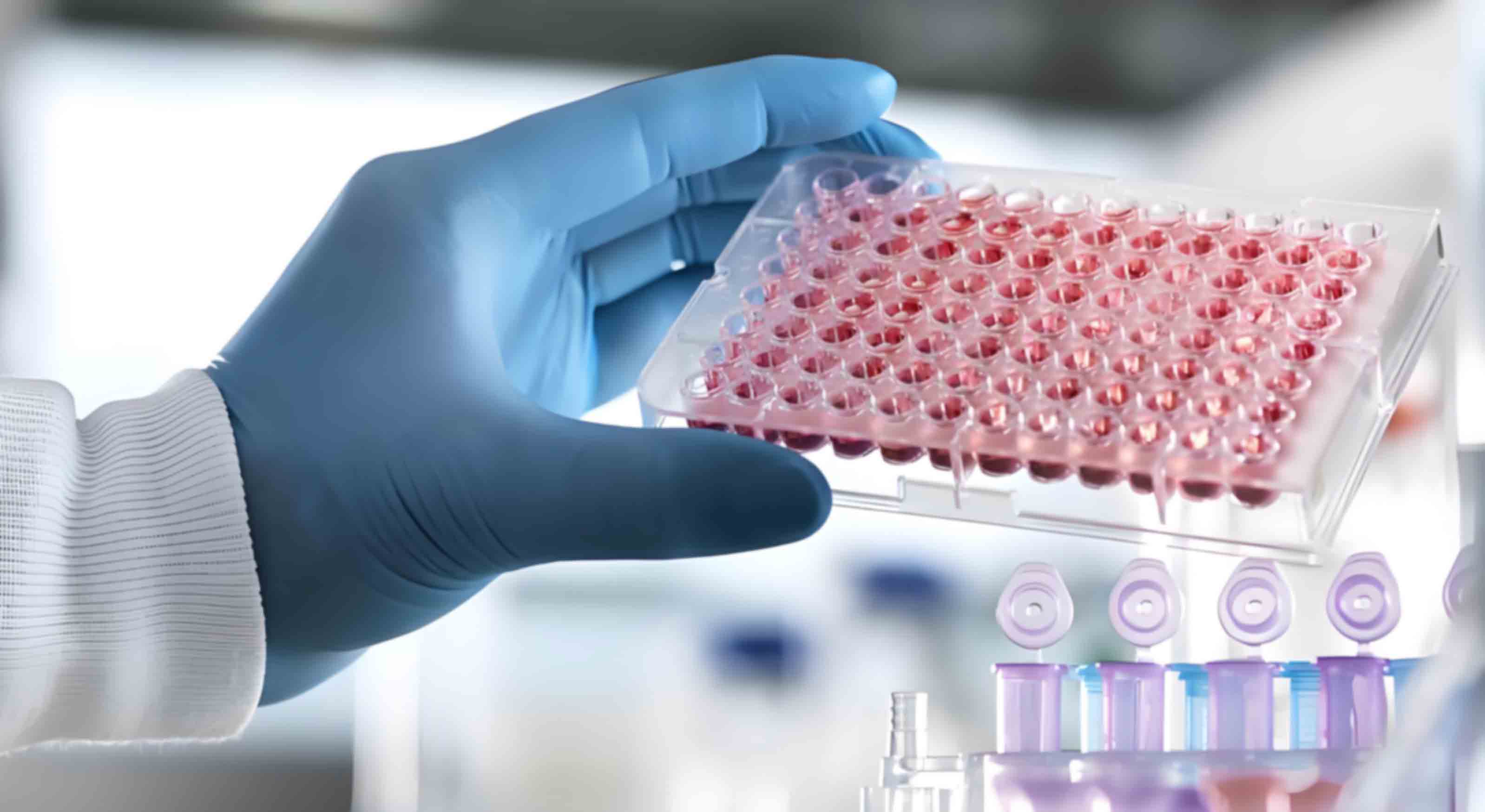 北京平谷區(qū)隱私親子鑒定哪家醫(yī)院可以做