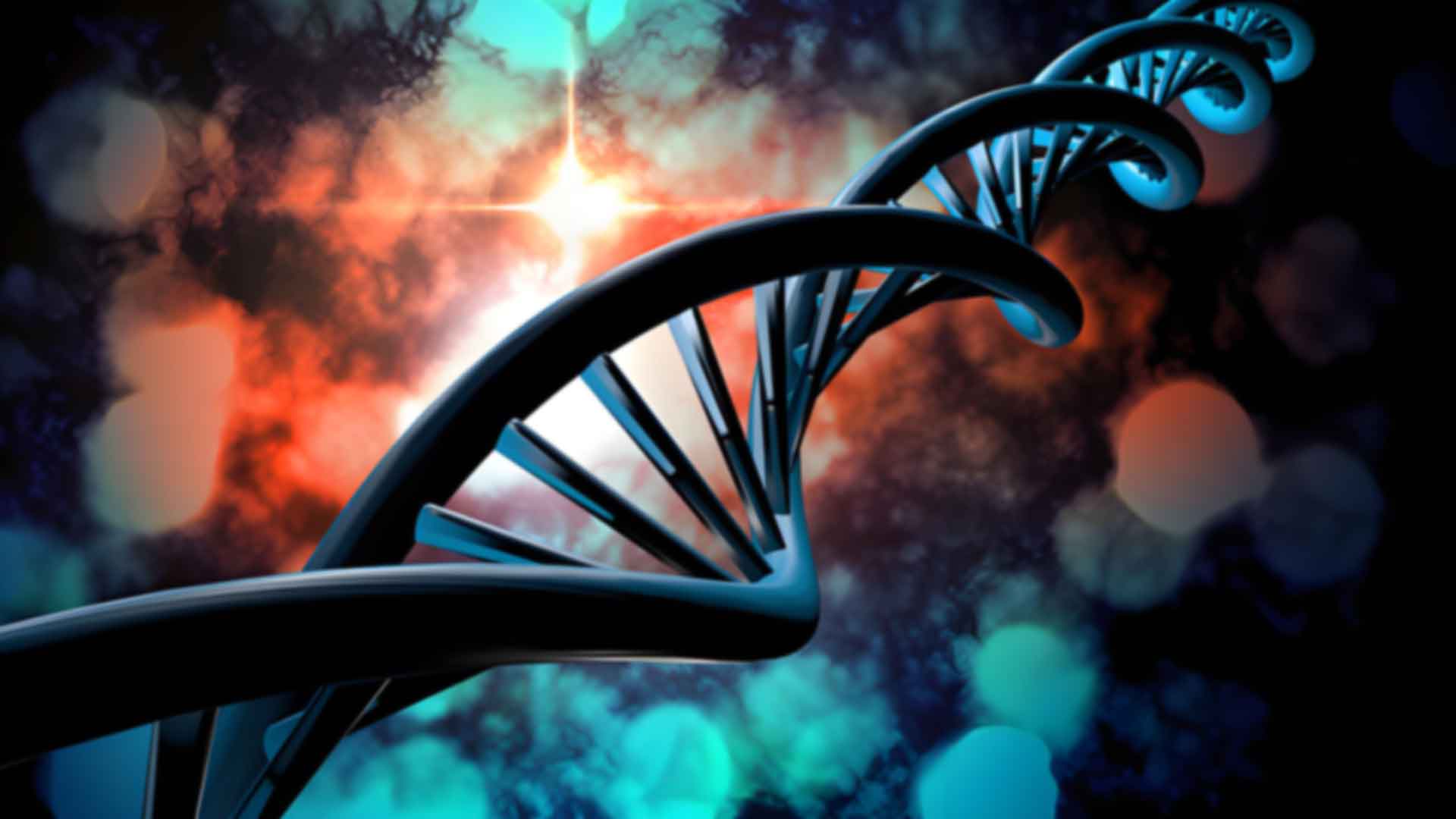 江門做親子鑒定流程是怎樣的