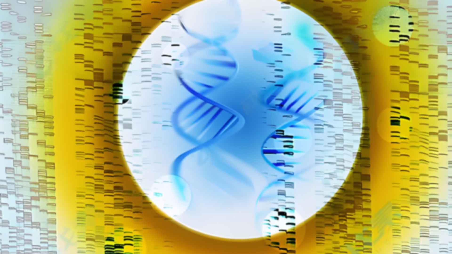 天津東麗區(qū)做親子鑒定哪家醫(yī)院可以做