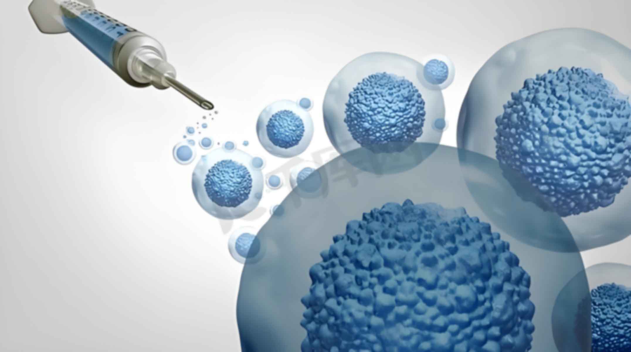 北京延慶區(qū)做親子鑒定去哪里做