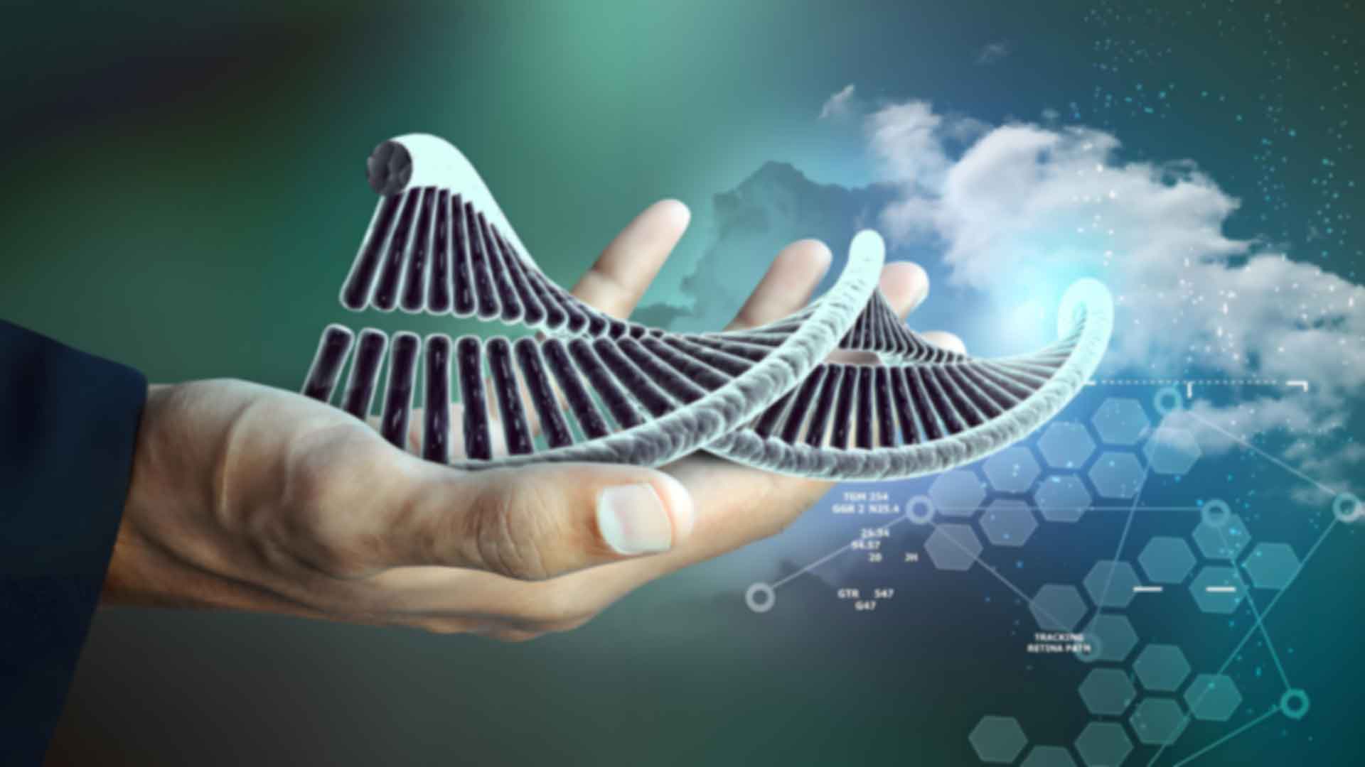 北京延慶區(qū)隱私親子鑒定流程是怎樣的