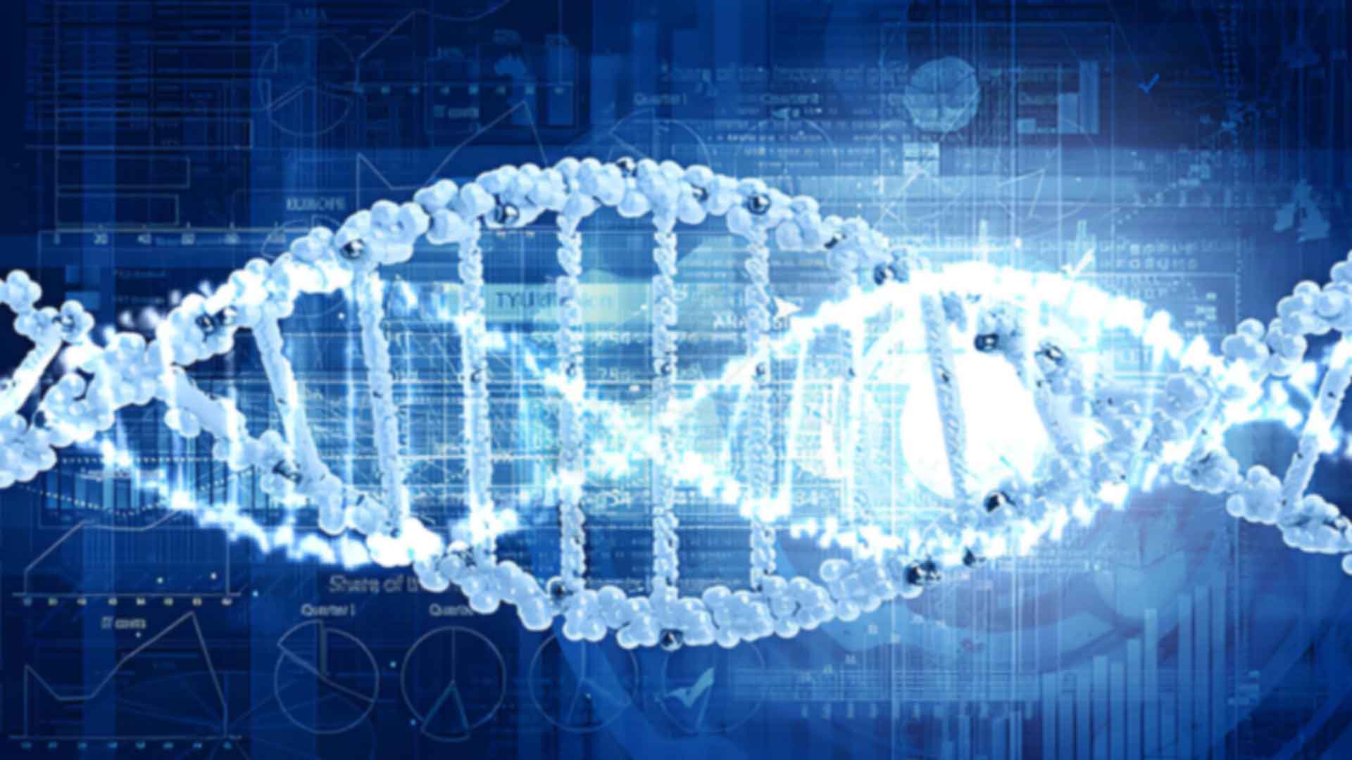 六盤(pán)水上戶(hù)口親子鑒定哪家醫(yī)院可以做