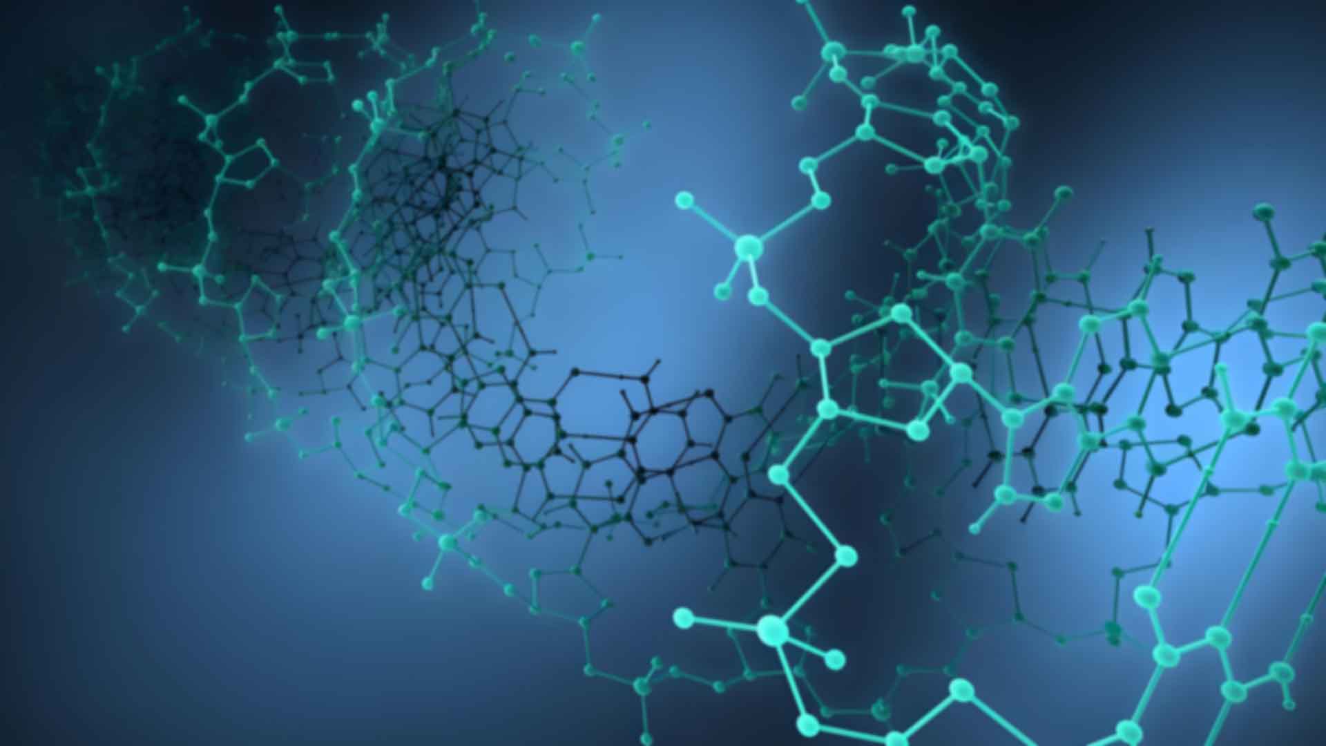 上戶口親子鑒定費用是多少