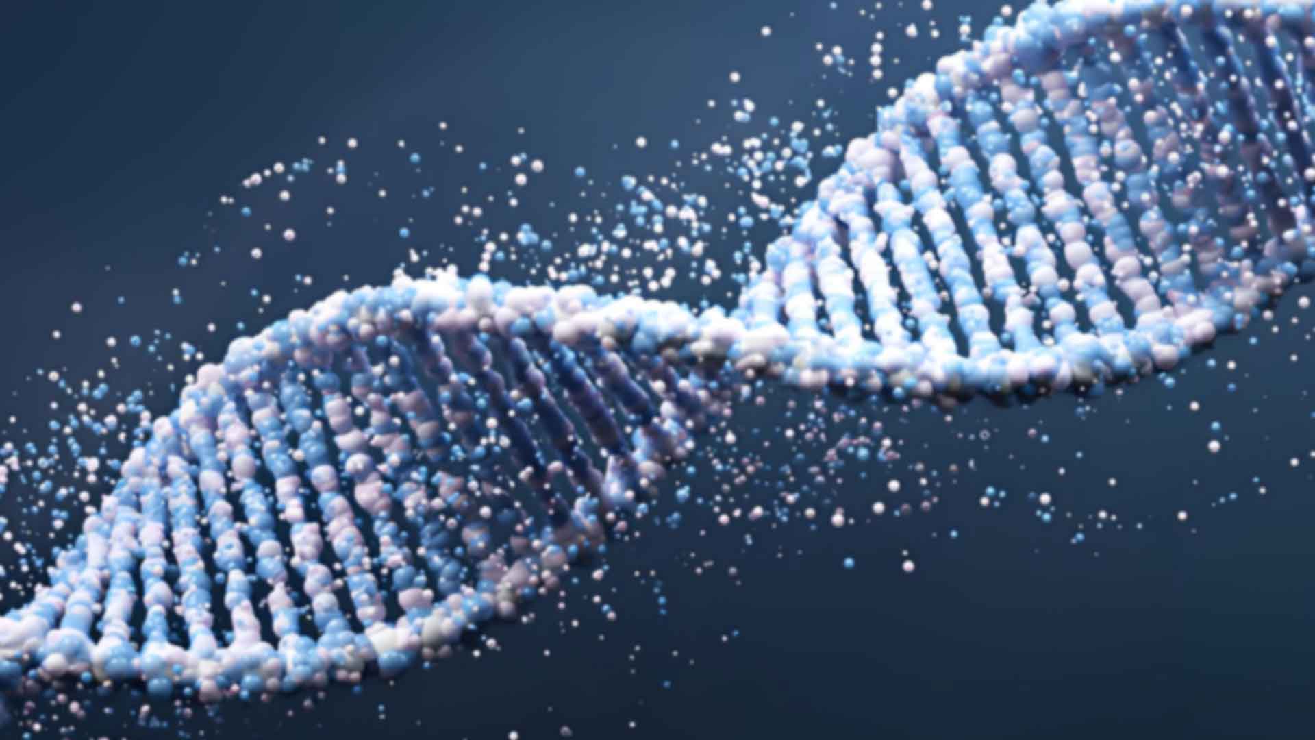 貴陽(yáng)做親子鑒定去哪里做