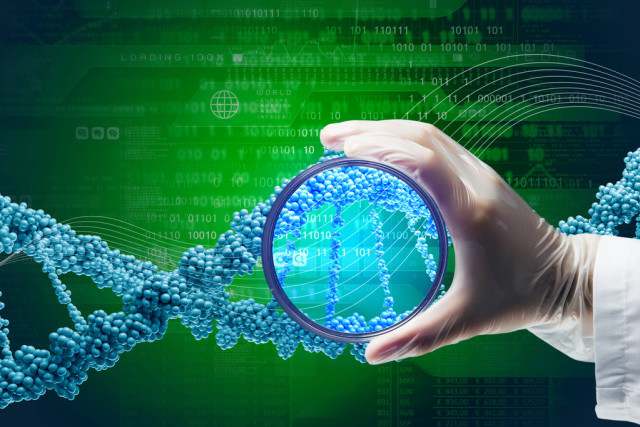 落戶親子鑒定辦理指南