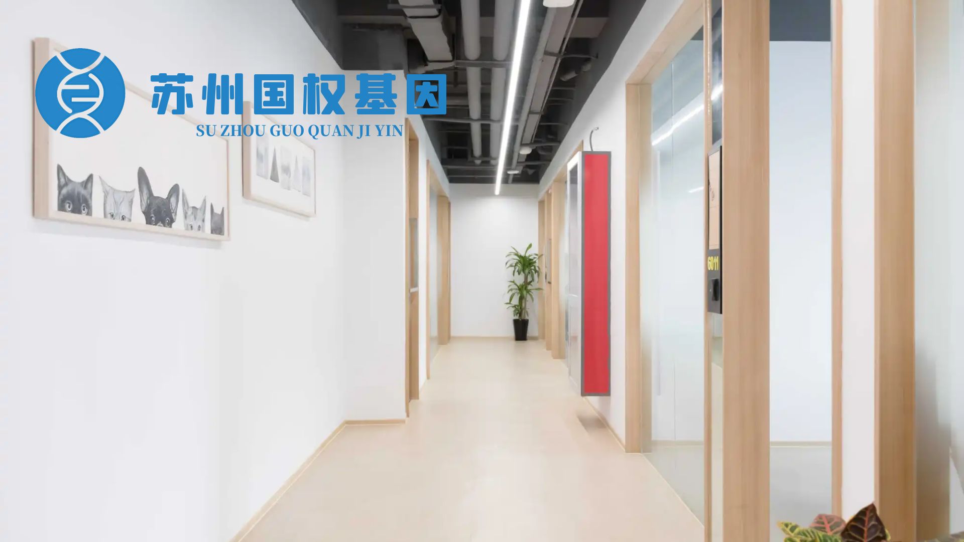 蘇州正規(guī)親子鑒定機(jī)構(gòu)大全(附2024年7月鑒定辦理地址)