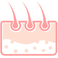 頭發(fā)/毛發(fā)