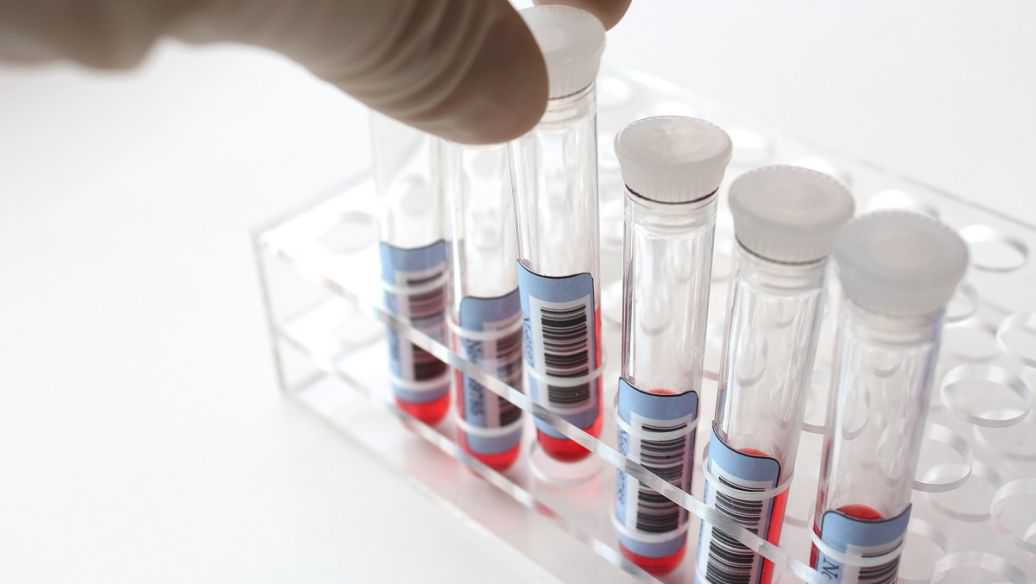 貴陽南明親子鑒定中心