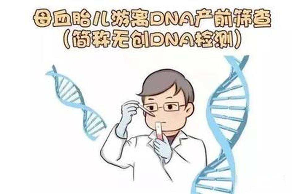 廈門產(chǎn)前親子鑒定