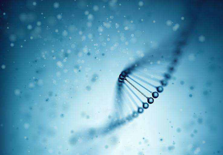 重慶親子鑒定中心一覽-采樣注意事項(xiàng)